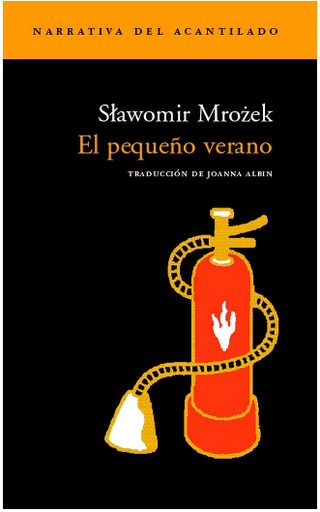 [9788496136649] EL PEQUEÑO VERANO