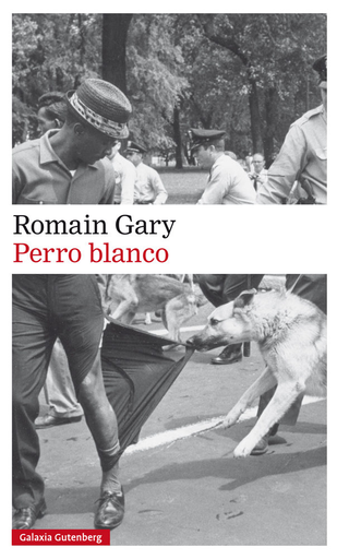 [9788417355586] PERRO BLANCO