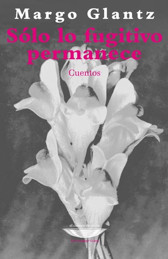 [9789874489524] SÓLO LO FUGITIVO PERMANECE